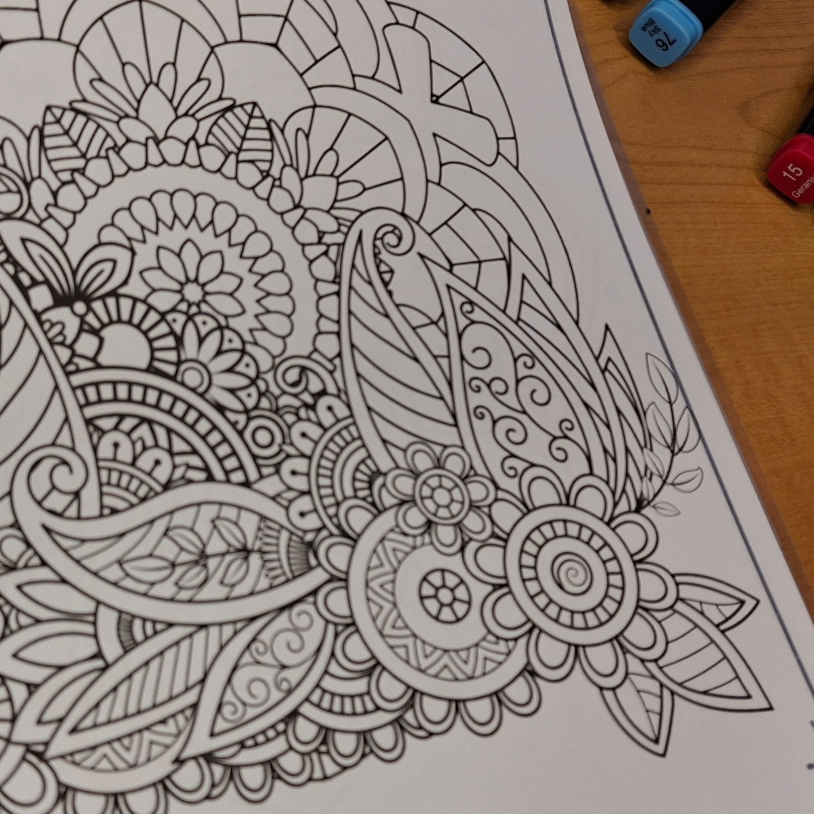 Zentangle Coloring Book for Adults 🌿