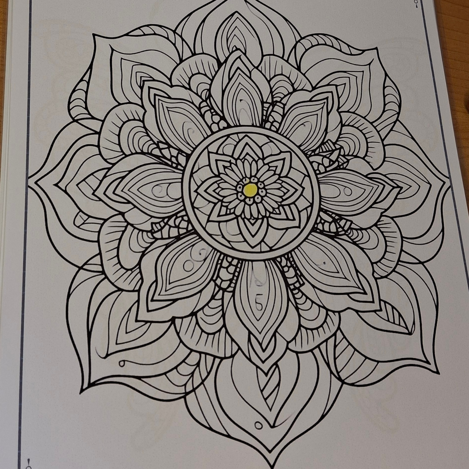 Zentangle Coloring Book for Adults 🌿