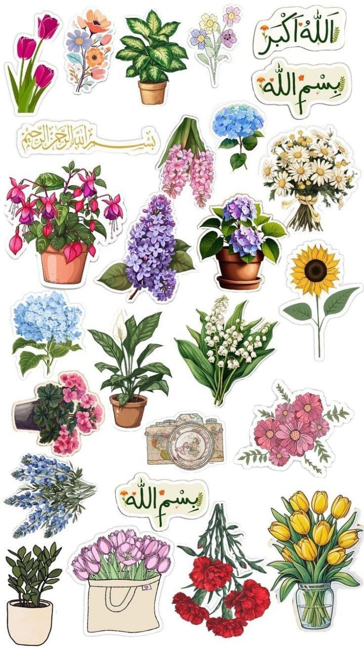 🎀🌸 Cute A4 Sticker Sheet 🌸🎀